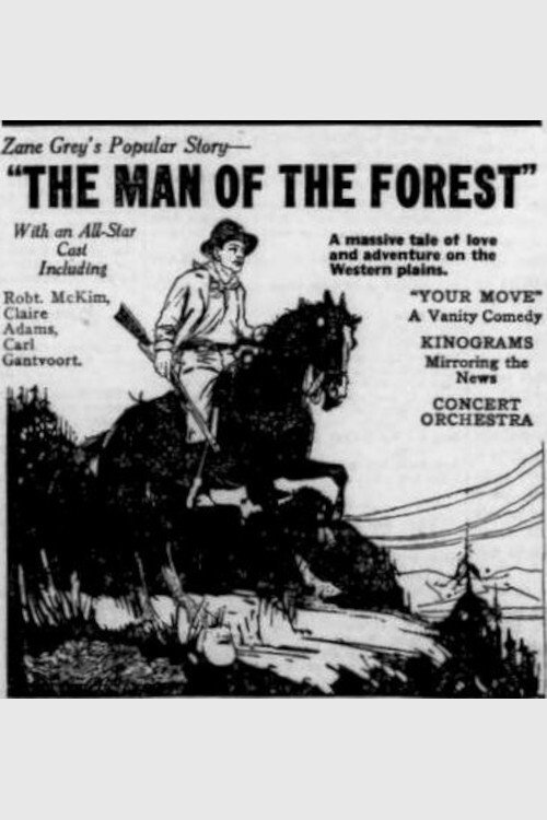 Man of the Forest poster
