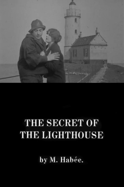 The Secret of Delft poster