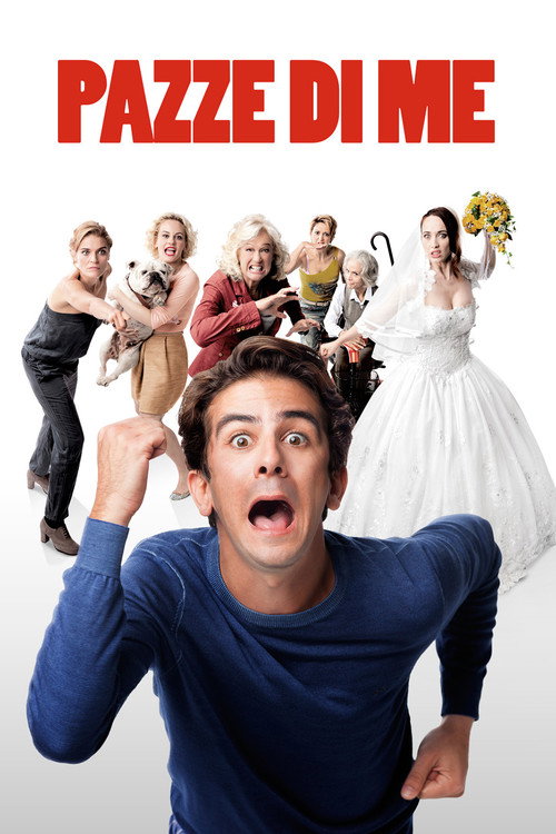 Women Drive Me Crazy poster