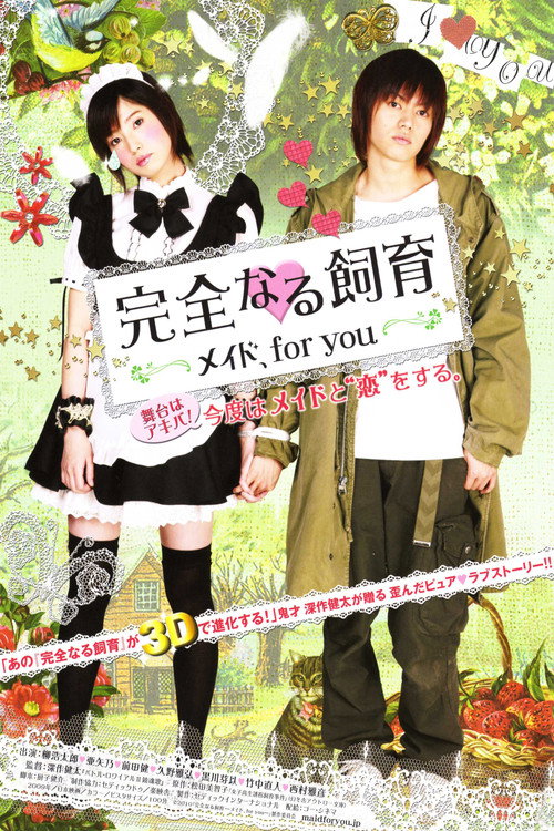 Perfect Education: Maid, for You poster