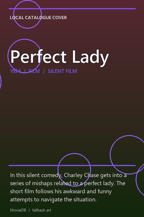 Perfect Lady poster