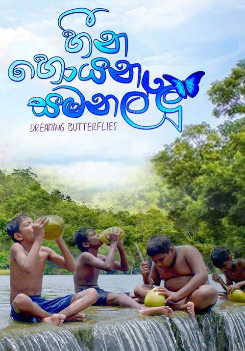 Heena Hoyana Samanallu poster