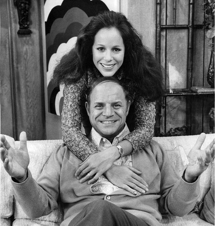 The Don Rickles Show poster