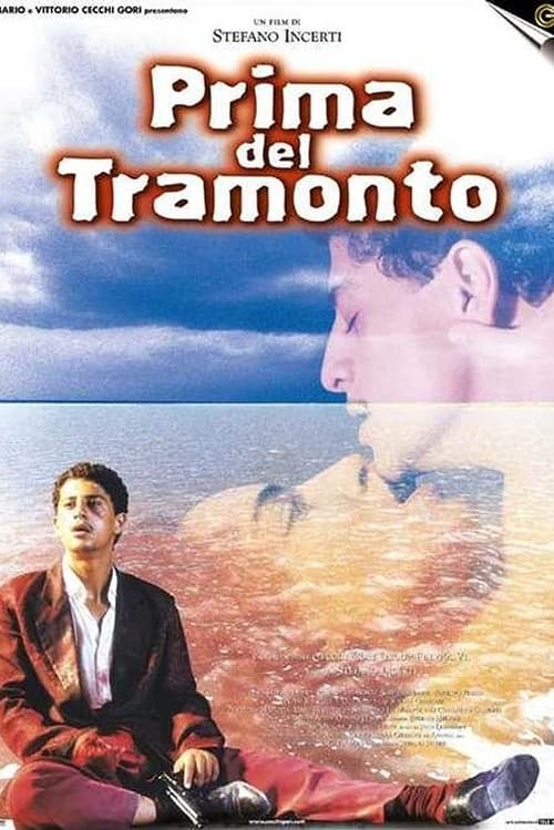 Before the Sunset poster