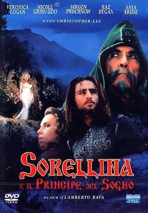 Sorellina e il principe del sogno poster