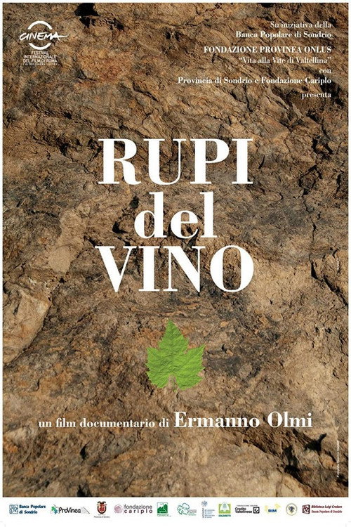 Rupi del vino poster