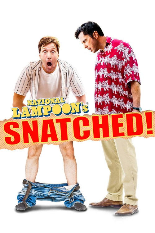 Snatched poster
