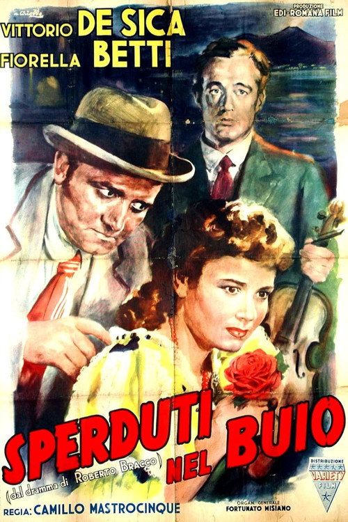 Lost in the Dark poster