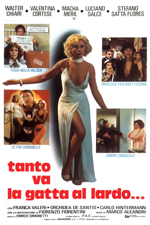 Tanto va la gatta al lardo... poster