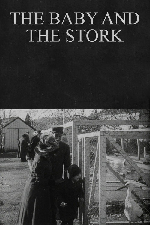 The Baby and the Stork poster