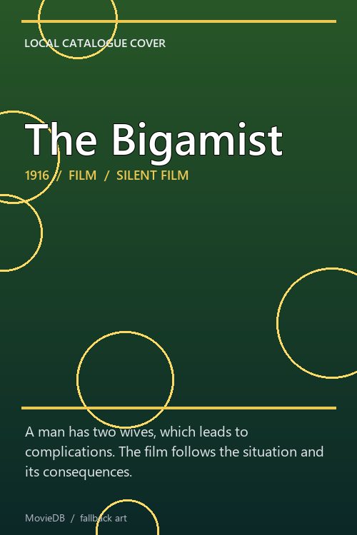 The Bigamist poster