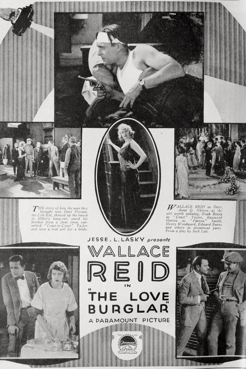 The Love Burglar poster