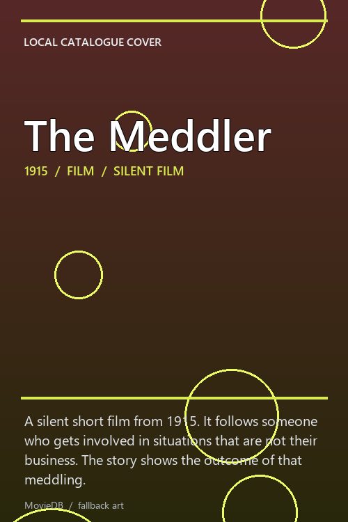 The Meddler poster