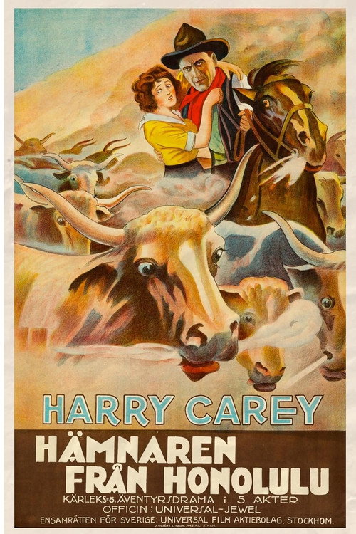 The Outlaw and the Lady poster