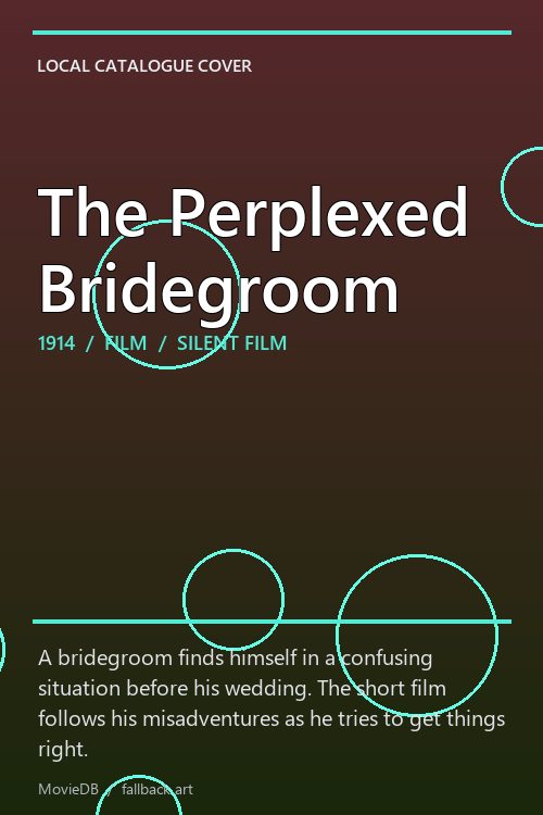 The Perplexed Bridegroom poster