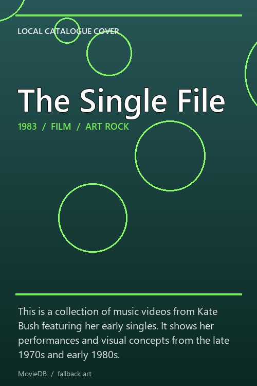 The Single File poster
