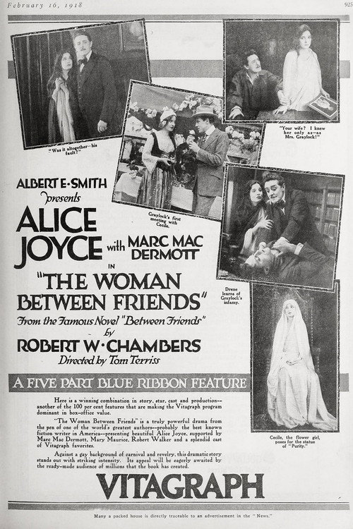 The Woman Between Friends poster