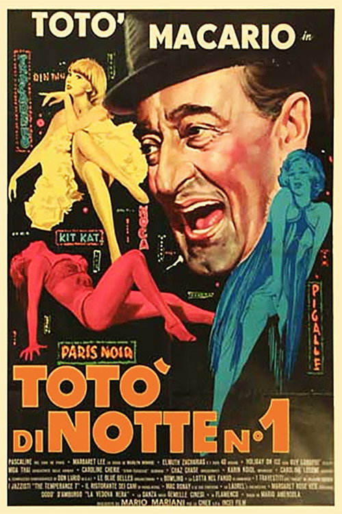 Toto's First Night poster