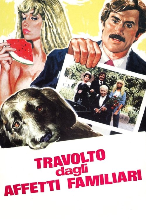 Travolto dagli affetti familiari poster