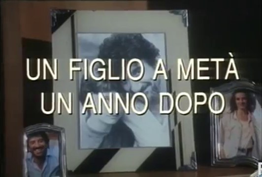 Un figlio a metà - Un anno dopo poster
