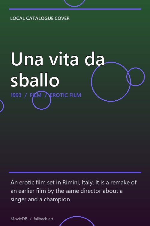 Una vita da sballo poster