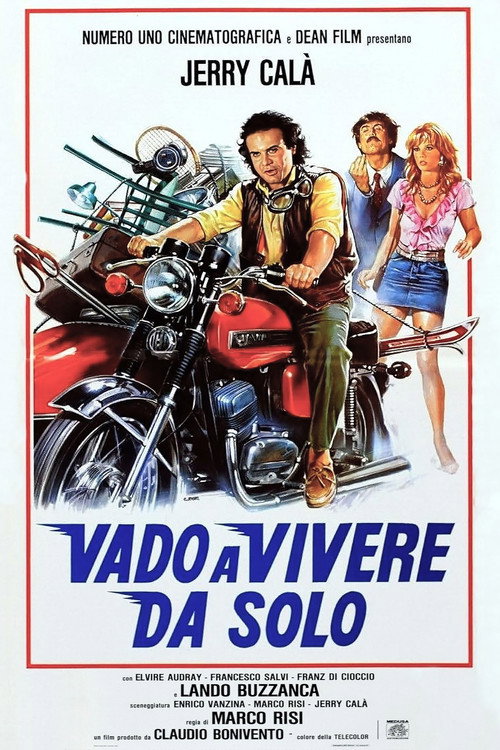 Vado a vivere da solo poster