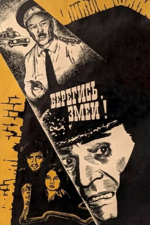 Beregis, zmey! poster