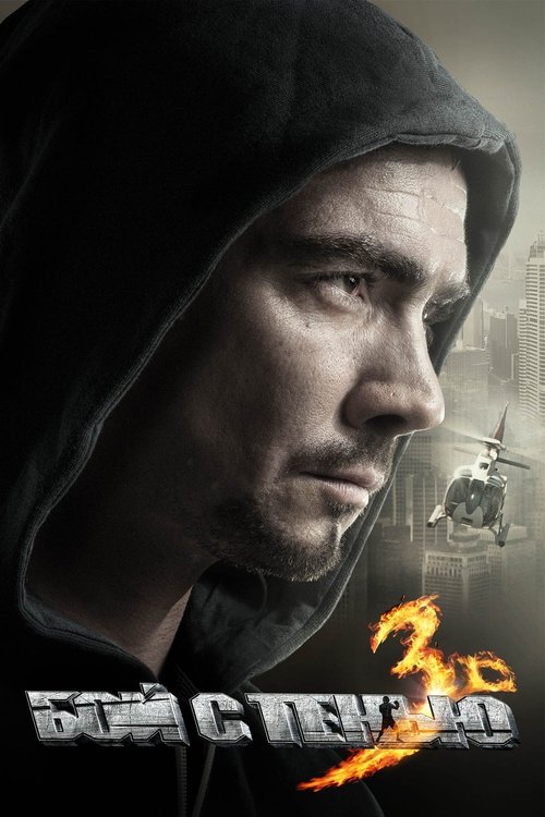 Shadowboxing 3: Last Round poster