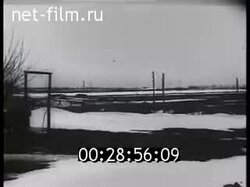 В омуте Москвы poster