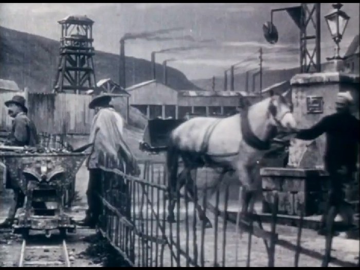 Down in the Coal Mines poster