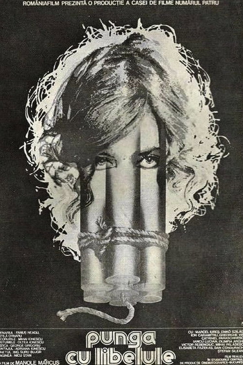 The Dragonfly Bag poster