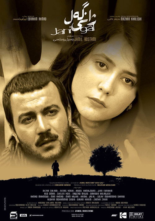 Jani Gal poster