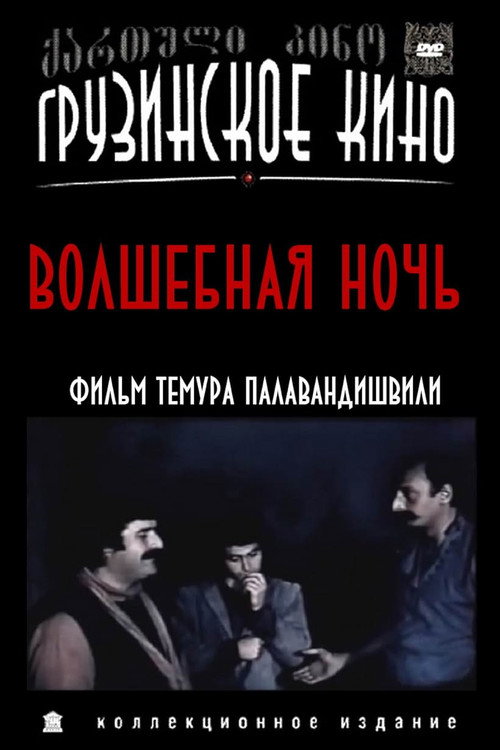 Magic Night poster