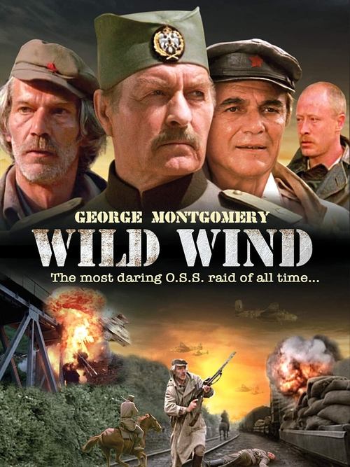 Commando Wild Wind poster