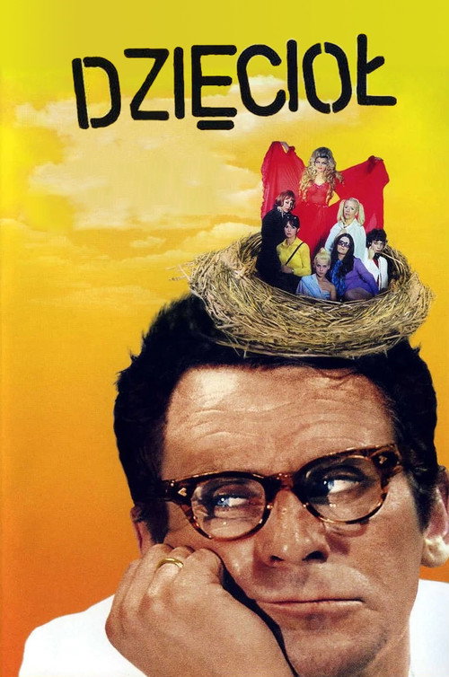 Dzięcioł poster