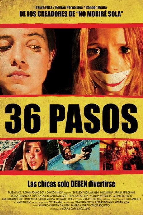 36 pasos poster
