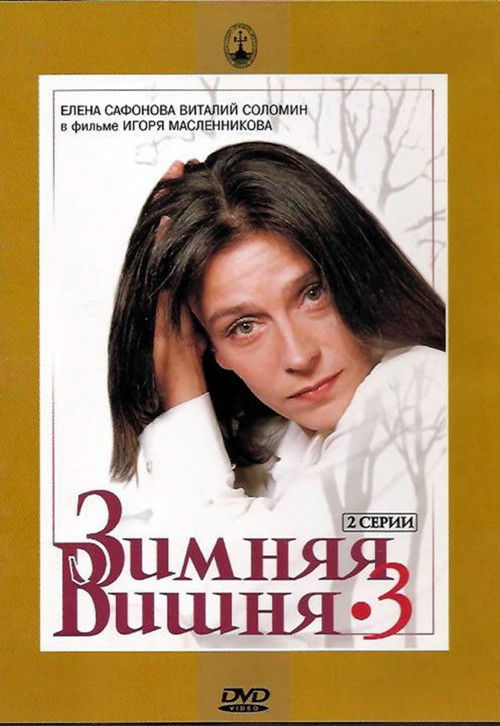Winter Cherries 3 poster