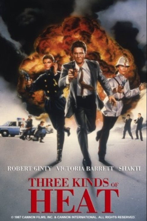 Three Kinds of Heat poster