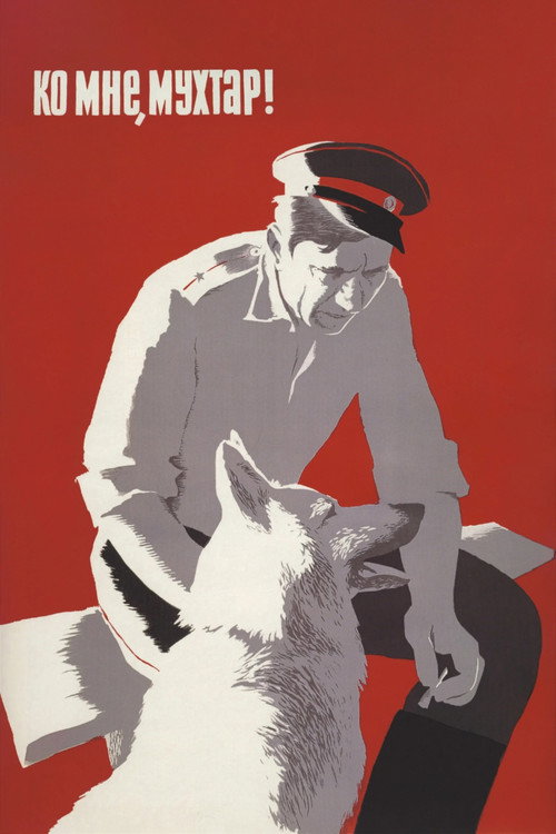 Come Here poster