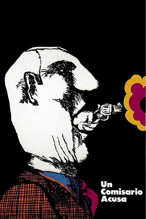 A Police Superintendent Accuses poster