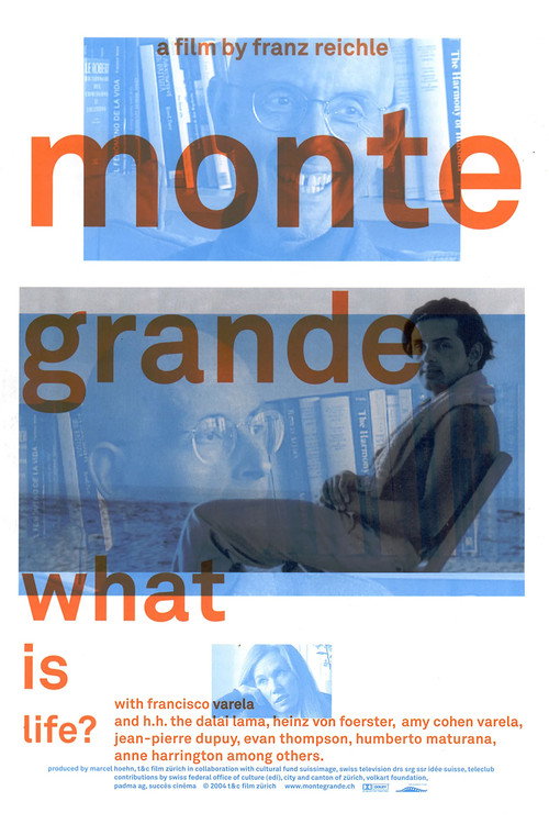 Monte Grande: What Is Life? poster