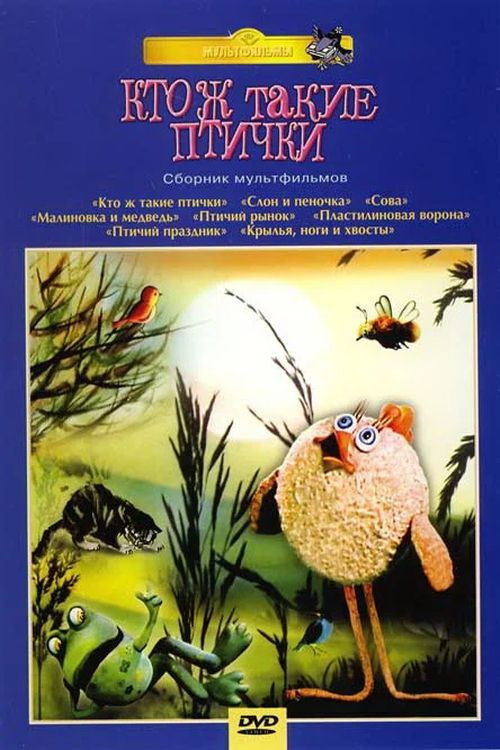 What Are Birds, Anyway? poster
