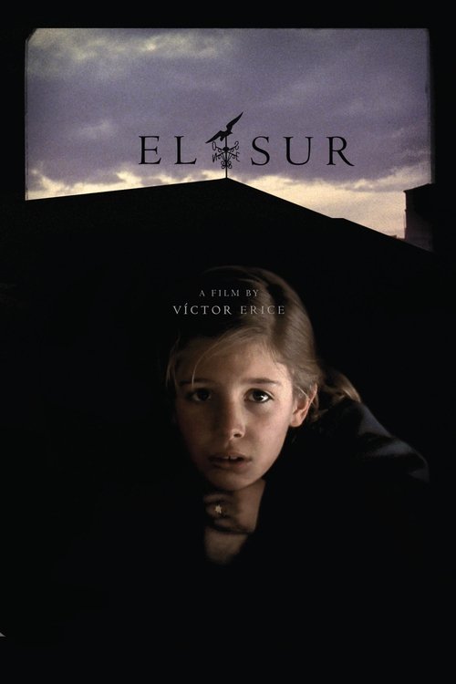 The South poster