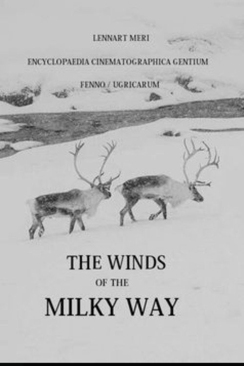 Winds of the Milky Way poster
