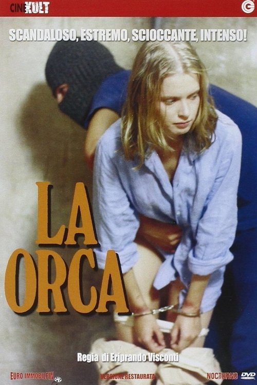 Prisoner of Passion poster