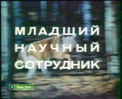 Младший научный сотрудник poster