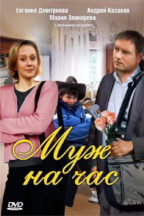 Husband for an hour poster