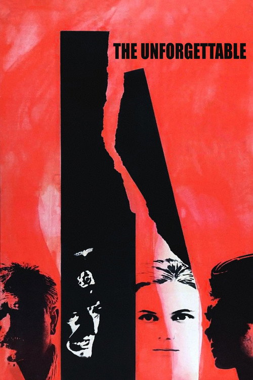 Nezabyvaemoe poster