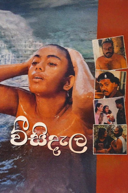 Visidela poster