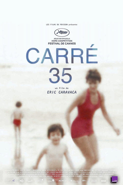 Plot 35 poster